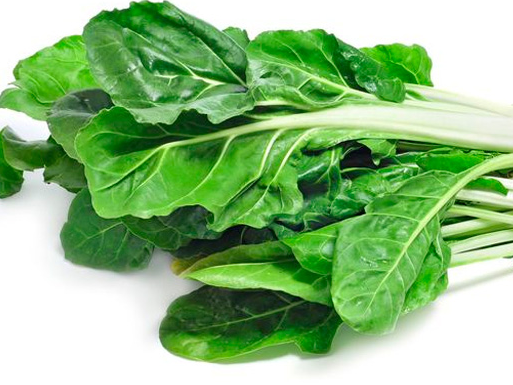 Acelga orgánica x unidad