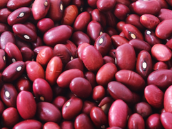 Porotos colorados orgánicos Salve La Tierra x kilo