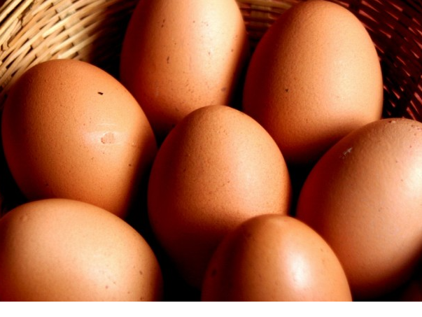 Huevos de gallinas pastoriles