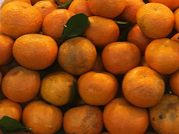 Mandarina agroecológica
