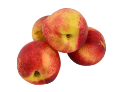 Pelon blanco organico x kilo