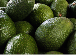 Paltas agroecológicas x 1 kilo