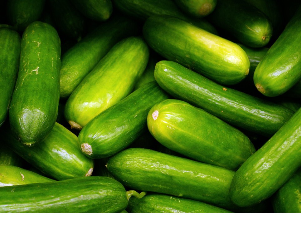 Pepino orgánico x 1/2 kilo