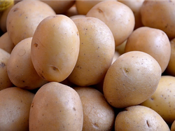 Papa blanca agroecológica x kilo