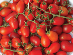 Cherry agroecológico x 1/2 kilo