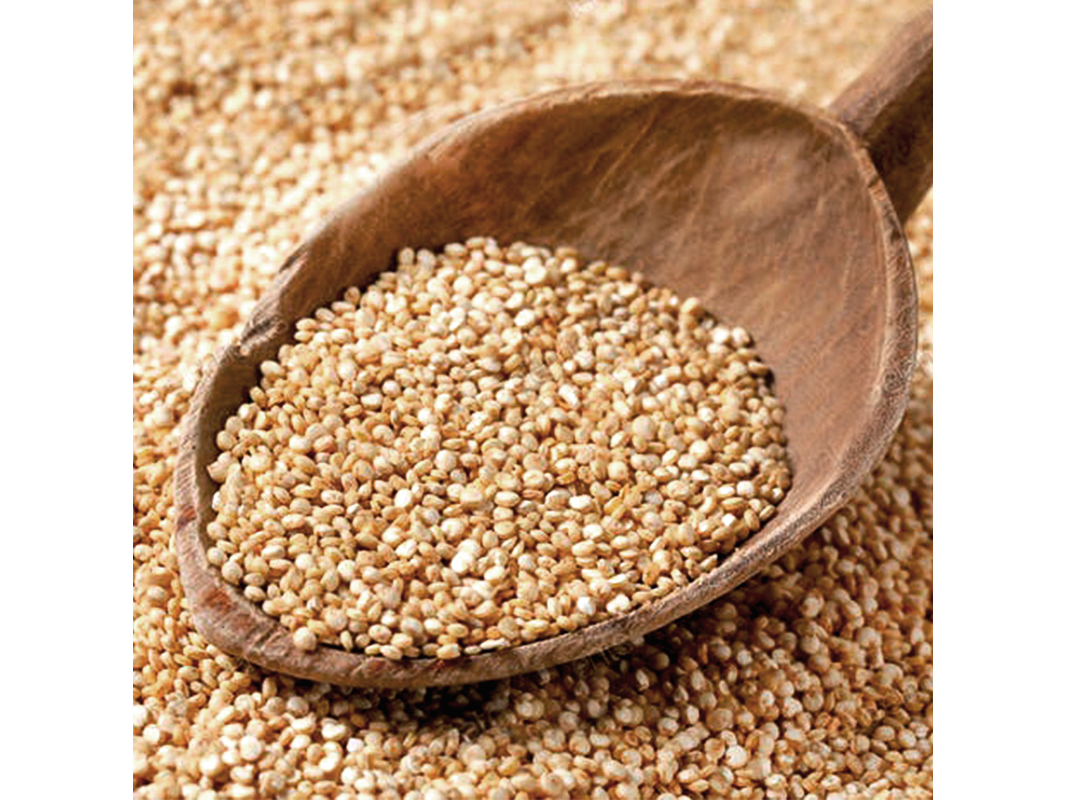 Quinoa blanca organica Salve la Tierra x 1/2 kilo