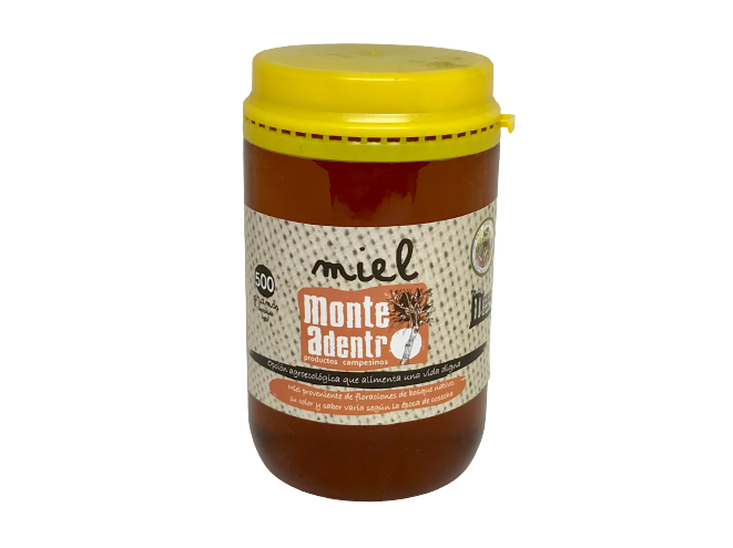 Miel Monte Adentro x 1/2 kilo