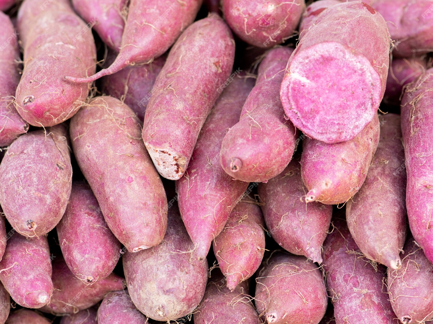 Batata morada agroecológica x kilo