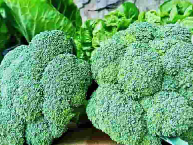Brocoli agroecológico x kilo