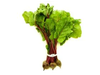 Atado de remolacha agroecologica x unidad