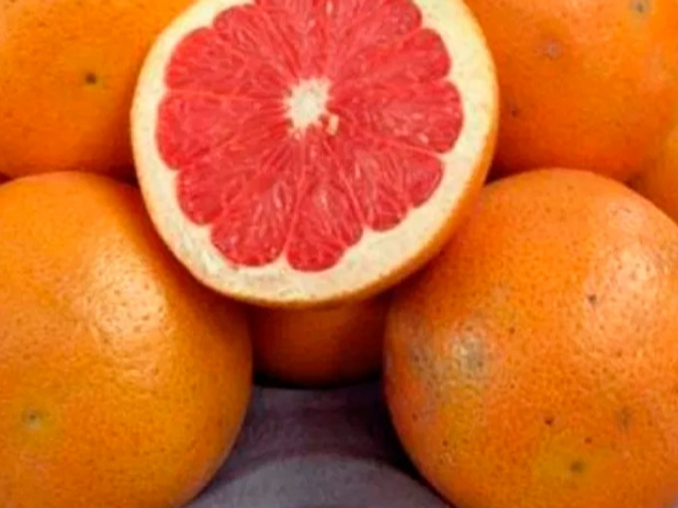 Pomelo rojo orgánico x kilo