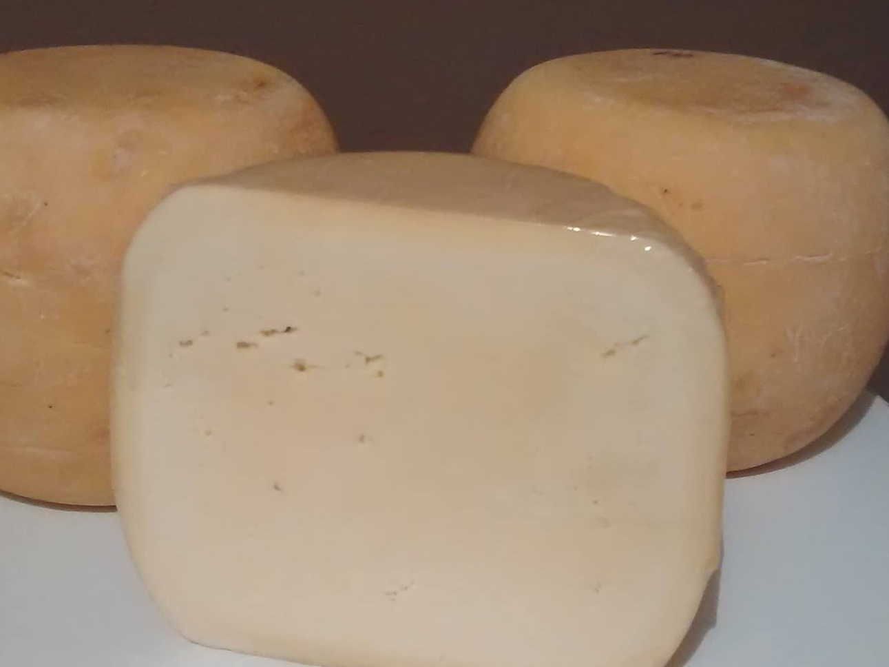 Queso sardo semiestacionado agroecológico