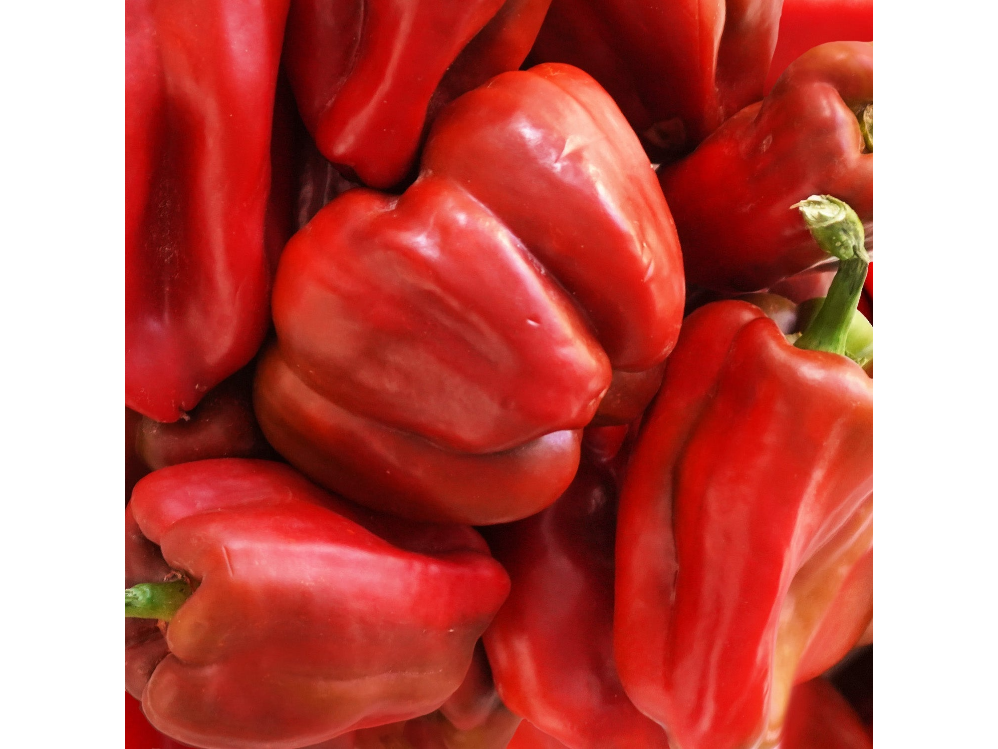 Morron rojo orgánico x 1/2 kilo