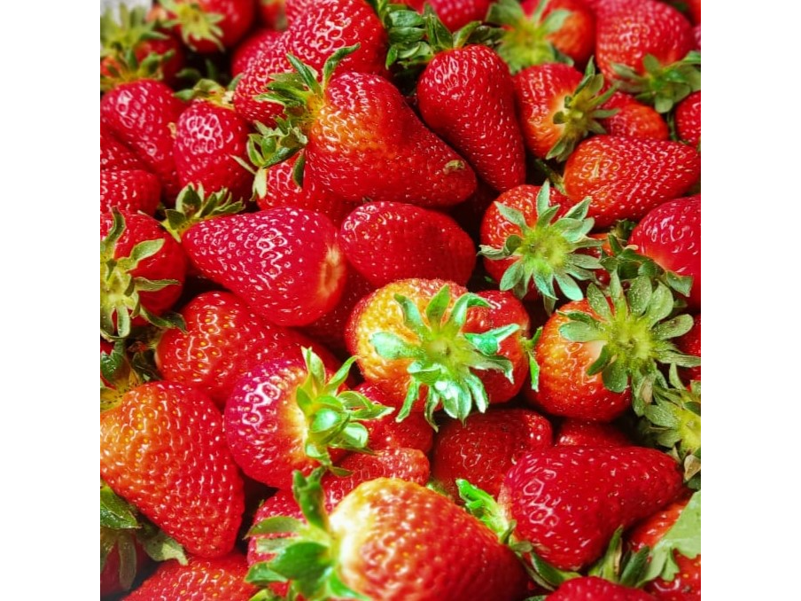 Frutillas organicas x 1/2 kilo