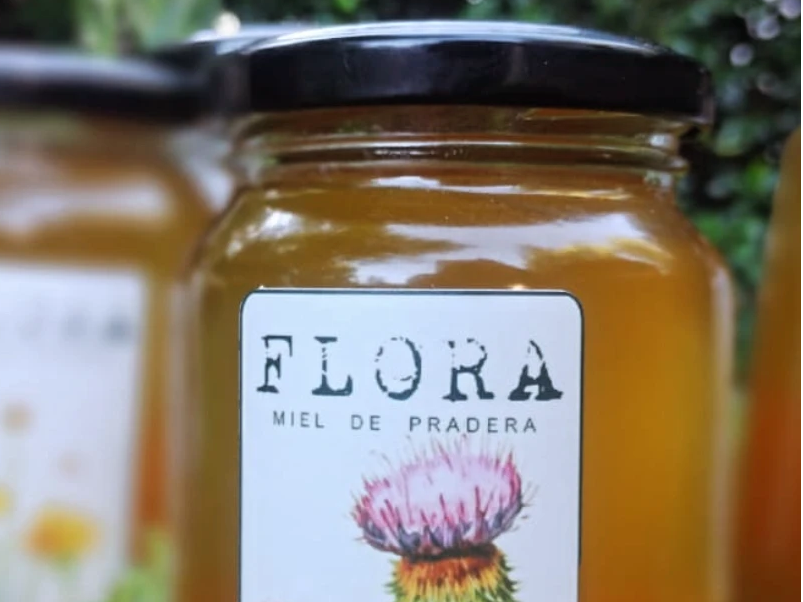 Miel Flora x 1/2 k. 100% pura y natural