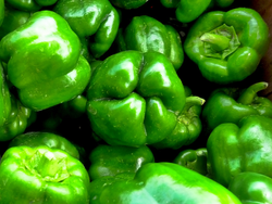 Morrón verde agroecológico x kilo