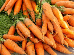 Zanahoria agroecológica x kilo