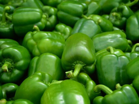 Morrón verde orgánico x 1/2 kilo