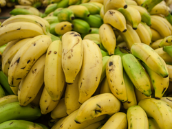 Banana orgánica x kilo