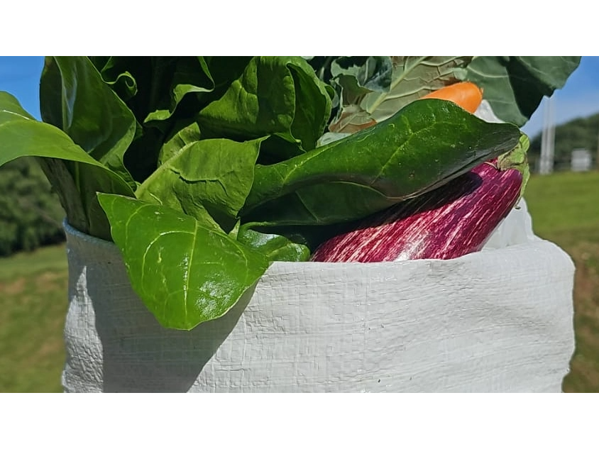 Bolsón de verduras agroecológicas