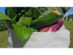 Bolsón de verduras agroecológicas