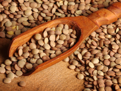 Lentejas orgánicas Salve La Tierra x kilo