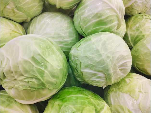 Repollo orgánico x kilo
