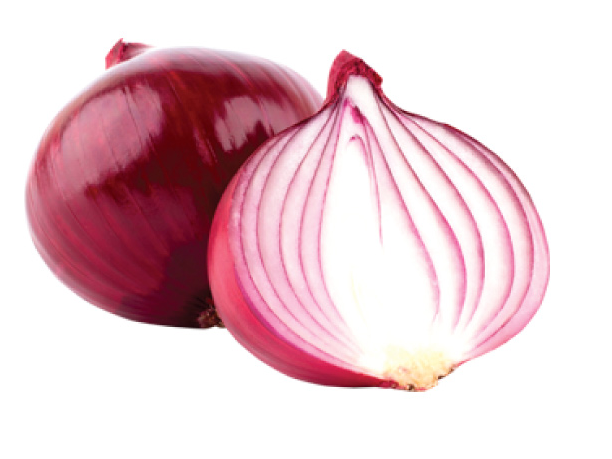 Cebolla morada organica x kilo