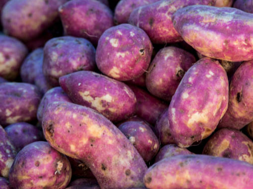 Batata morada orgánica x kilo