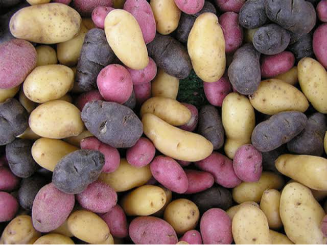 Mix papa andina orgánica x 1/2 kilo