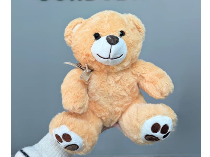 Peluche Oso Marrón 🧸