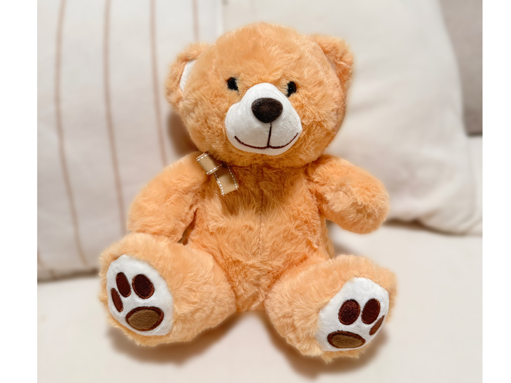 Peluche Oso Marrón 🧸