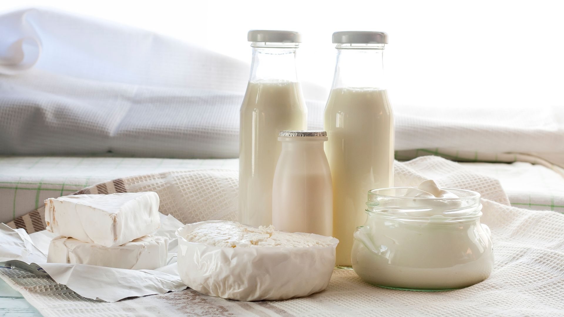 INSUMOS ALIMENTICIOS