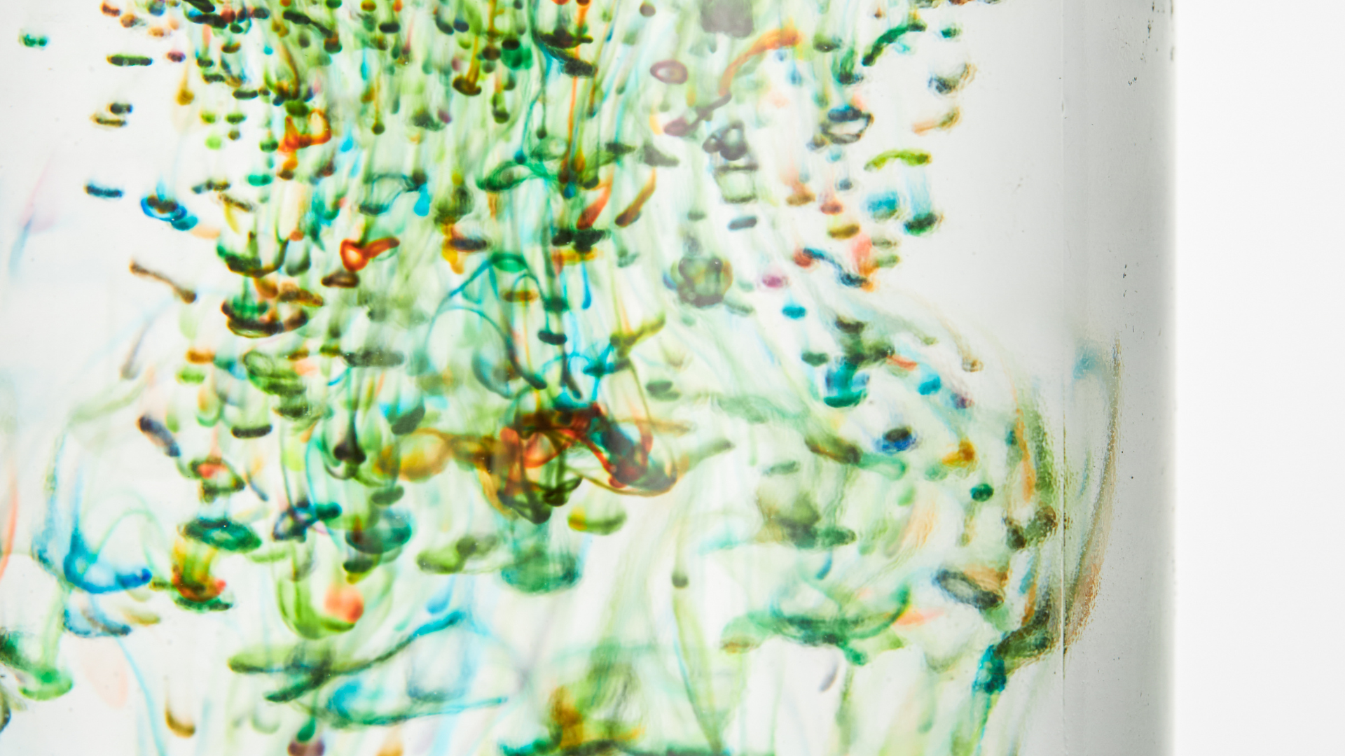 COLORANTES y SABORIZANTES