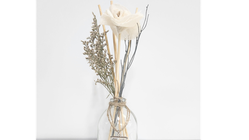 ENVASES DIFUSOR Y HORNITOS