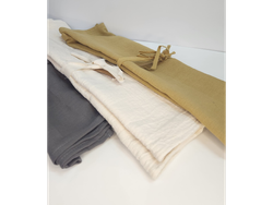 CAMINO DE MESA DE GASA