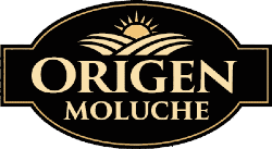 Logo Origen Moluche