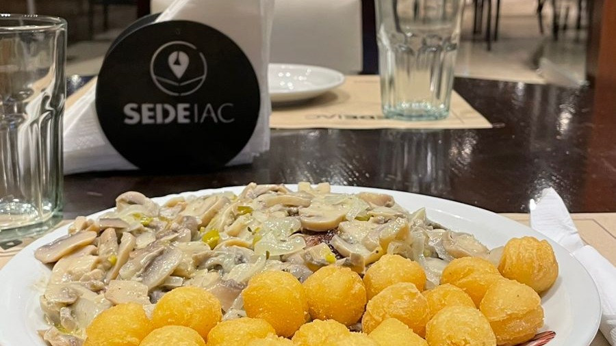 AL PLATO