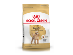 ROYAL CANIN CANICHE X 3 KG