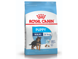 ROYAL CANIN MAXI JUNIOR X 15 KG