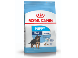 ROYAL CANIN MAXI JUNIOR X 3 KG