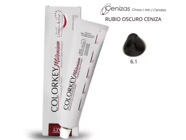 N°6.1 (RUBIO OSCURO CENIZA)