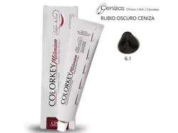 N°6.1 (RUBIO OSCURO CENIZA)