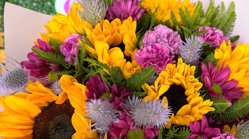 Primaverales de la temporada