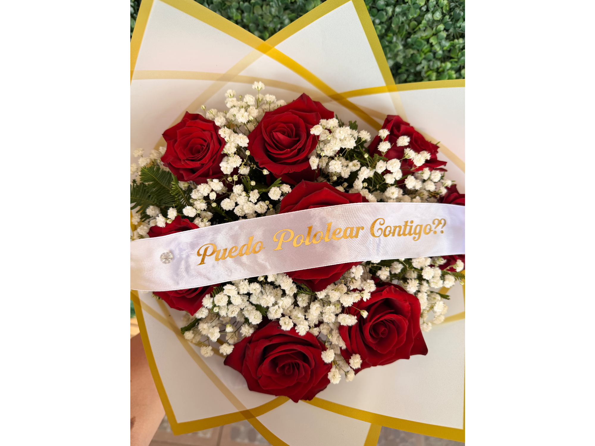 Ramo de rosas  ¿ Puedo pololear contigo?