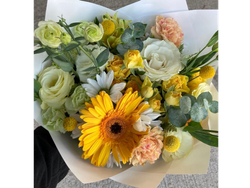 Amarillo pastel