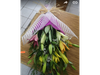 Mix de liliumXL