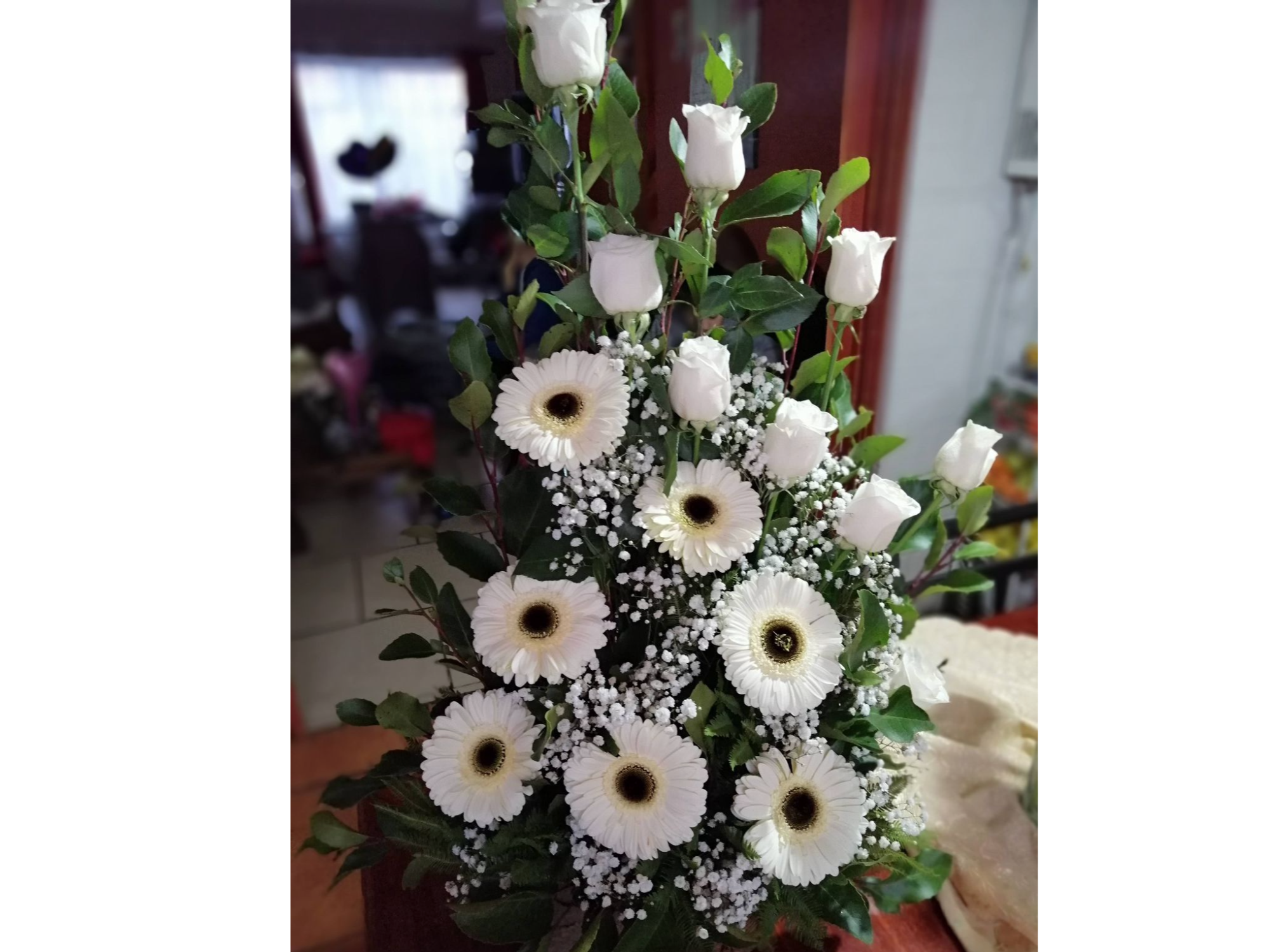 Modelo Rosa ,Gerberas