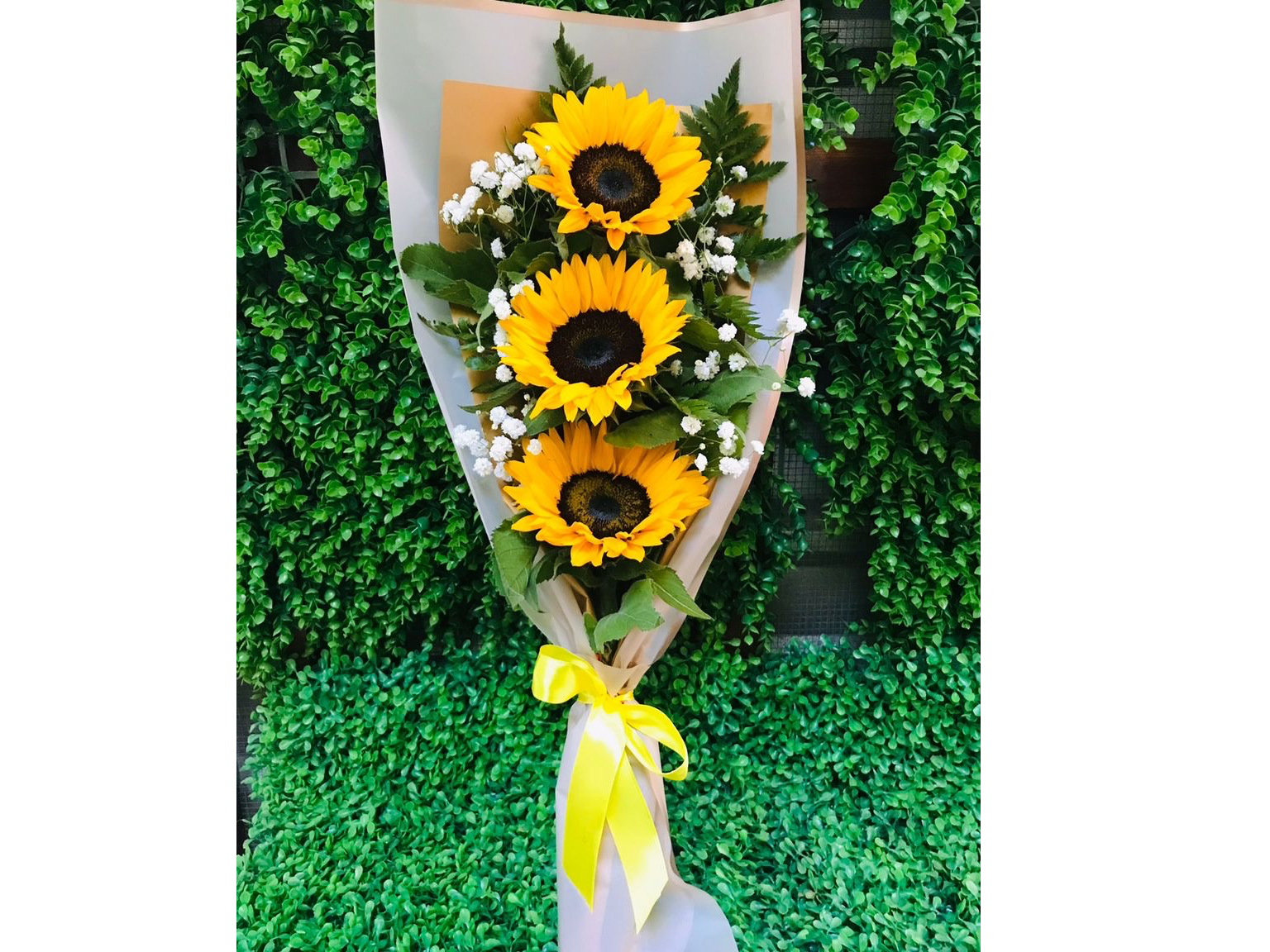 Trío de girasoles 🌻 🌻🌻