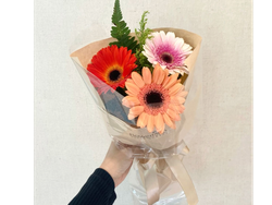 TRÍO DE GERBERAS ( CONSULTAR STOK DE COLORES )